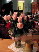 pink roses_5580