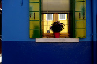 Burano, Italy. Blue gold wolverines 02083