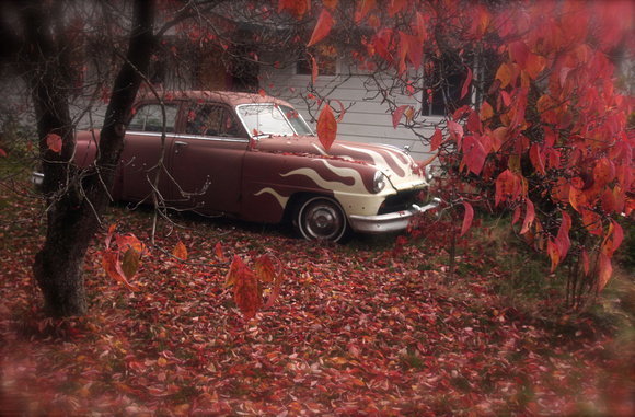 IMG_0924e red leaf blur